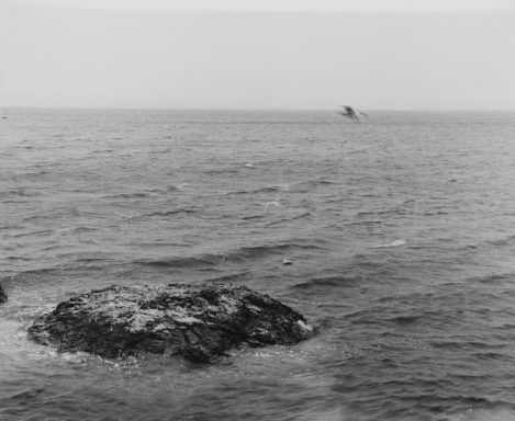Acqua Tre